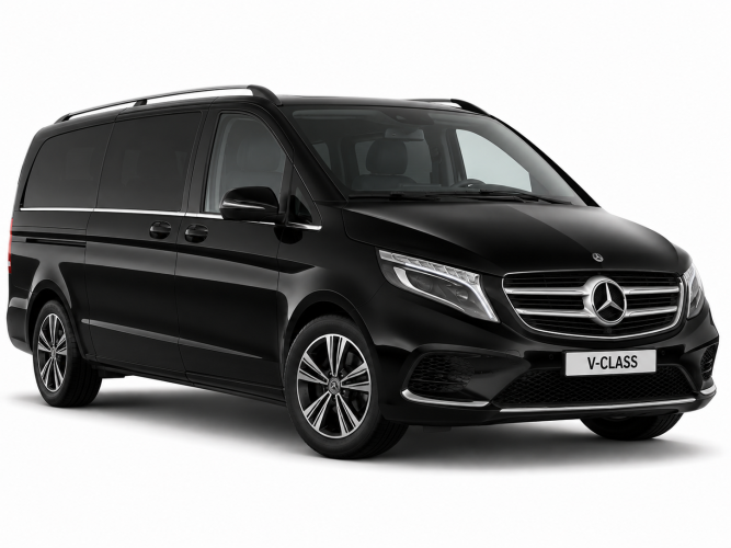 MERCEDES  VIANO